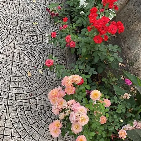 Casa Delle Rose بيت للعطل