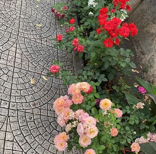 Casa Delle Rose 펜션